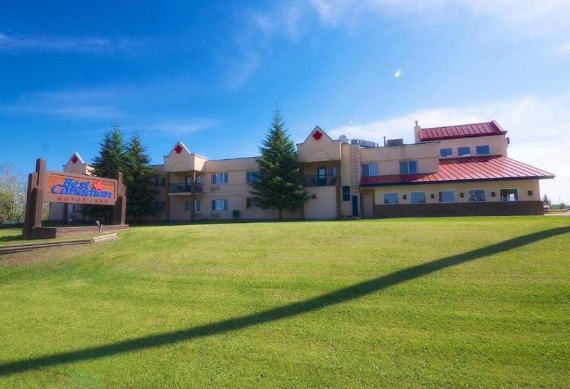 汽车旅馆  Best Maple Inn  Drayton Valley