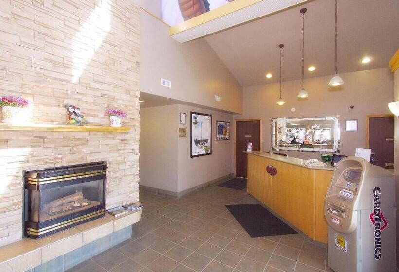 汽车旅馆  Best Maple Inn  Drayton Valley