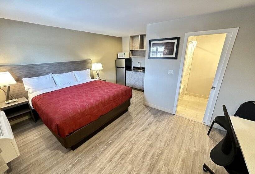 Motel Econo Lodge Inn & Suites