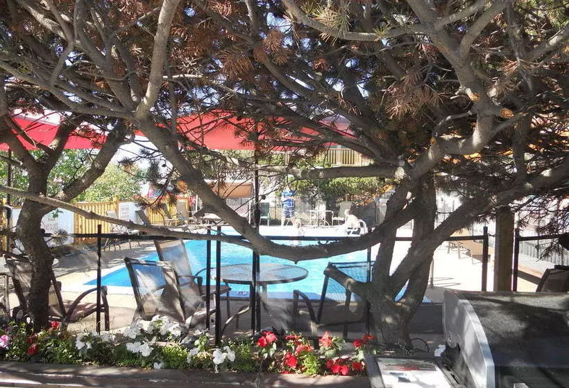 モーテル Lazy Bear Lodge