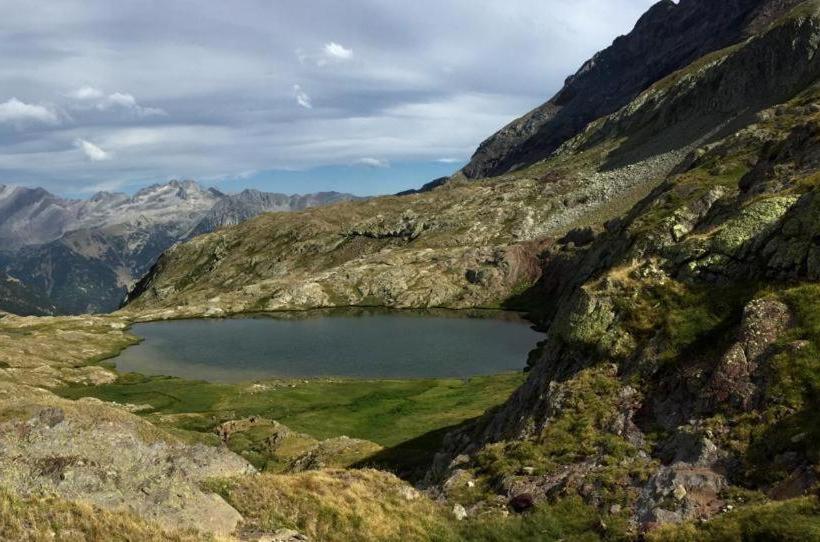 Bed and Breakfast Casa Palacin