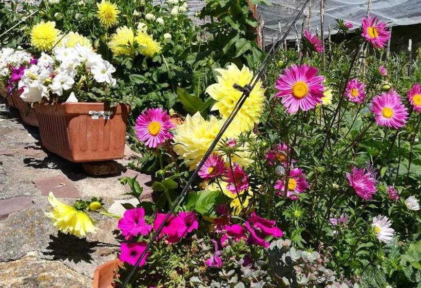 Bed and Breakfast Casa Palacin