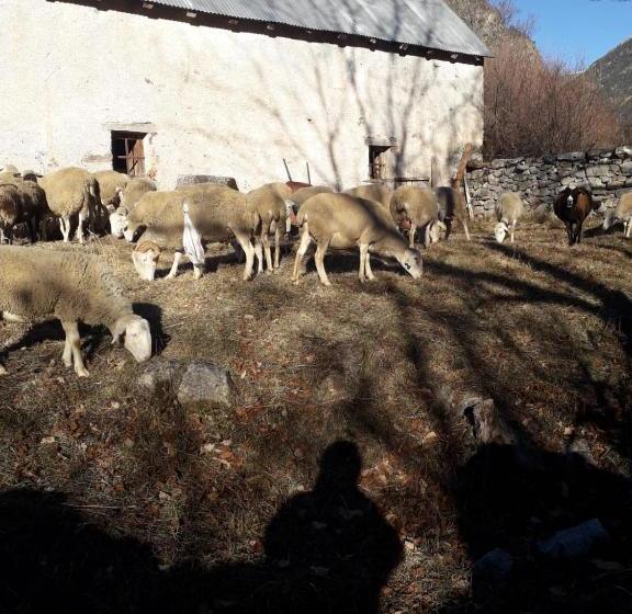 Bed and Breakfast Casa Palacin