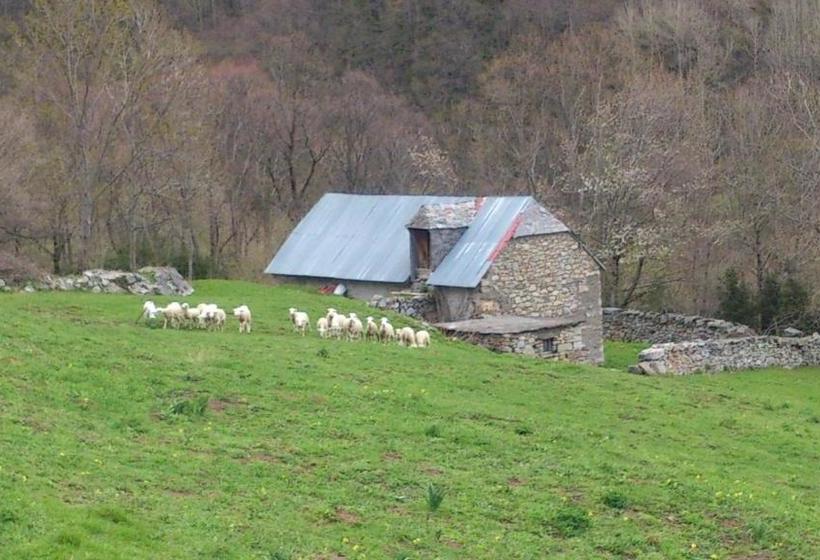 Bed and Breakfast Casa Palacin