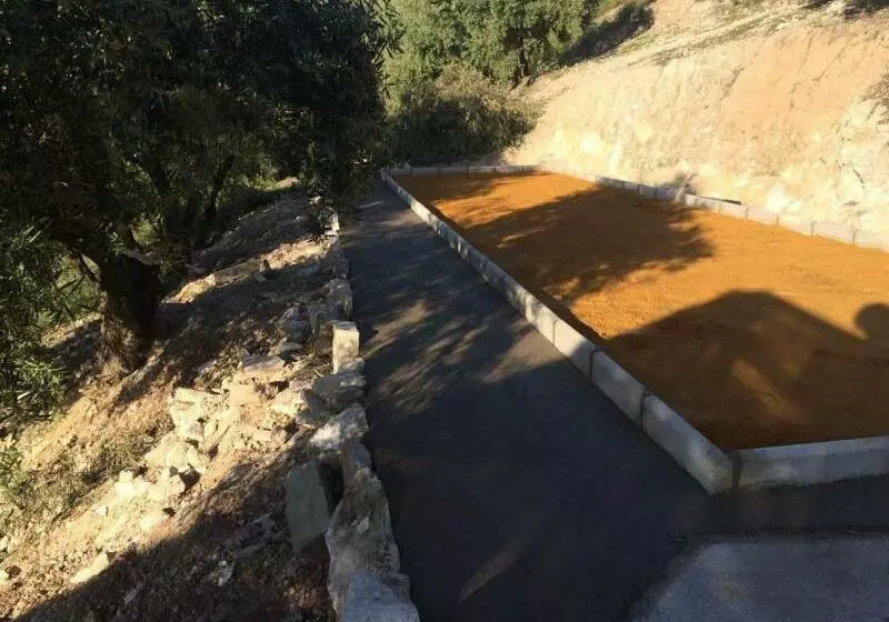 ベッドアンドブレックファースト Cortijo Del Caño