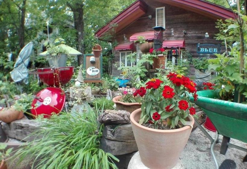 צימר Pension Blue