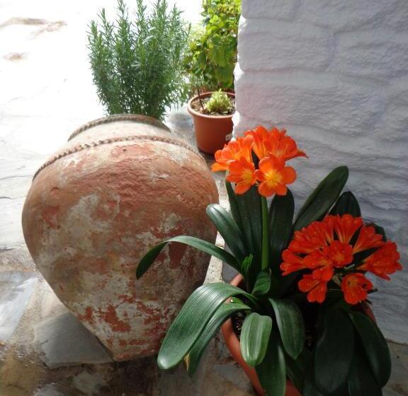 호텔 Estrella De Las Nieves