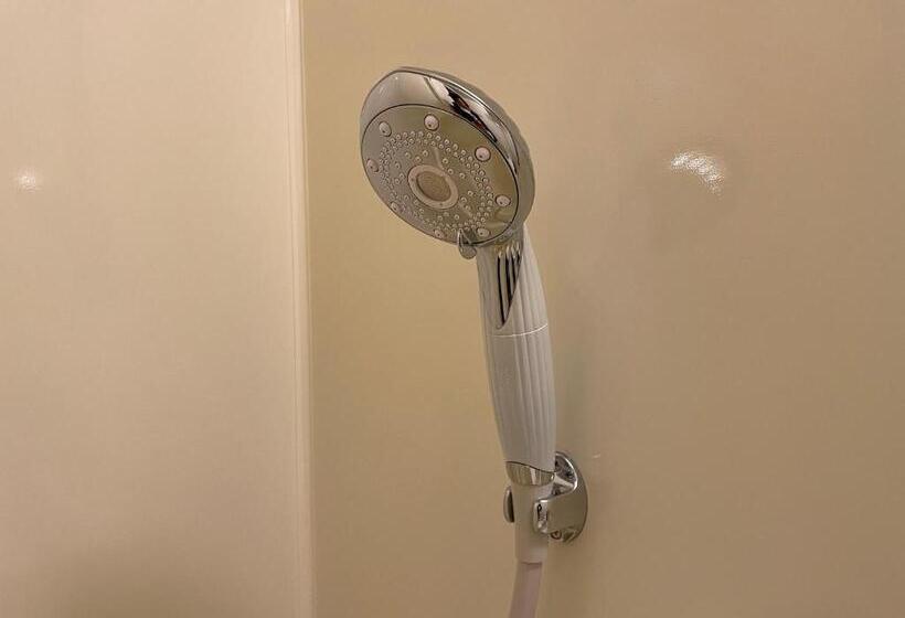 فندق Kusatsu Daiichi