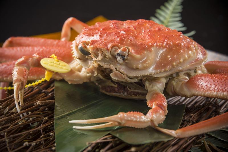 Hotel Mikuni Ocean Resort&