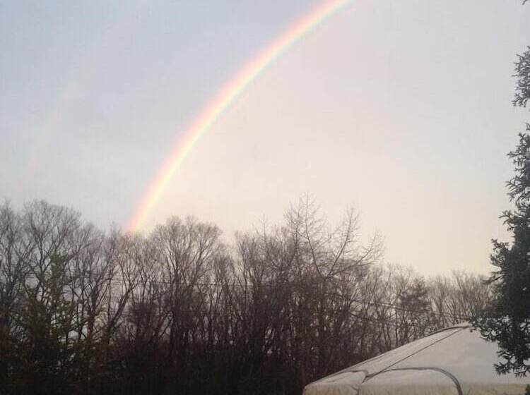 Hotelli Mongolia Village Tenger