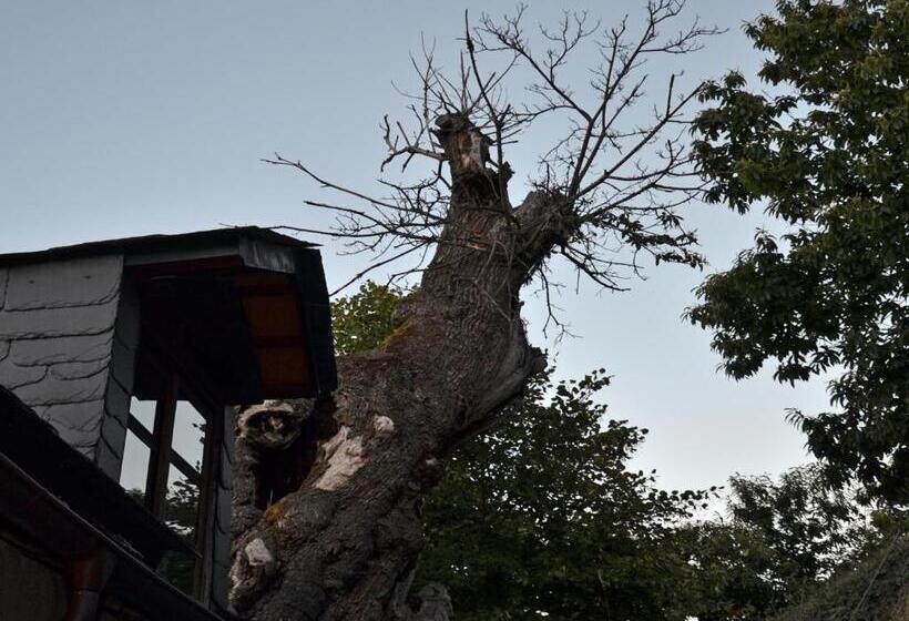 호텔 O Palleiro Do Pe Do Forno