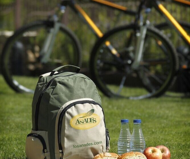 Отель Rural & Spa Los Anades