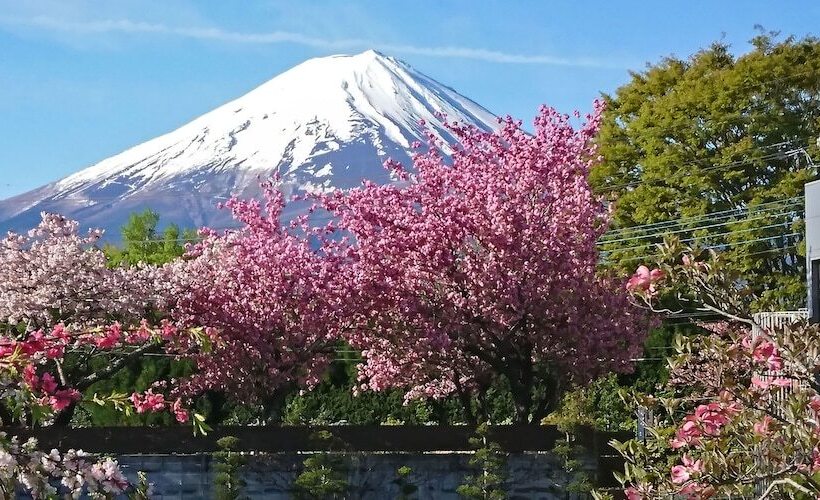 ريوكان Maruyaso