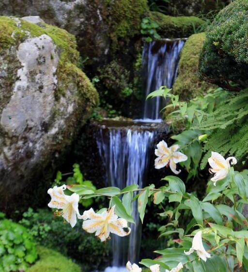 ריוקאן Teiensaryo Yamanakako