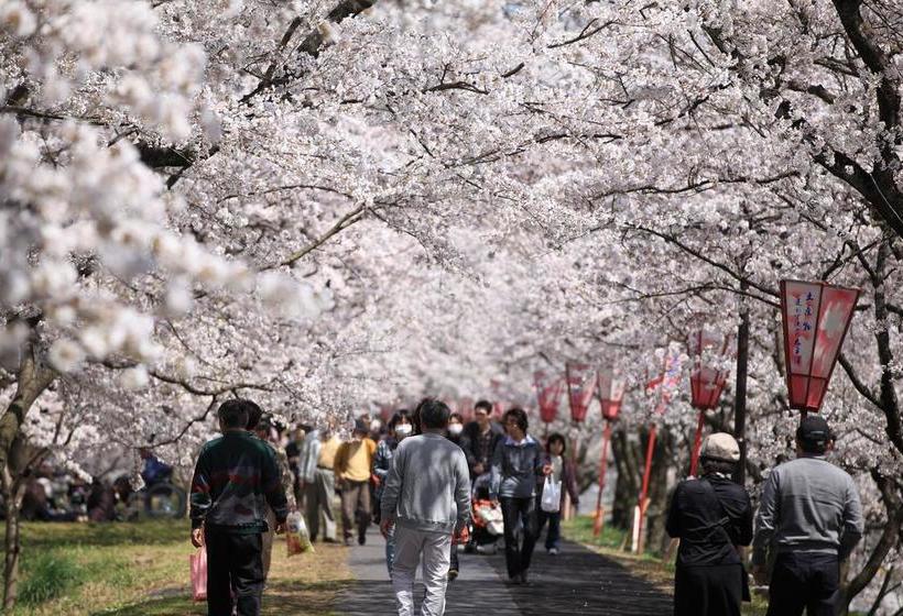 ريوكان Ten Ten Temari