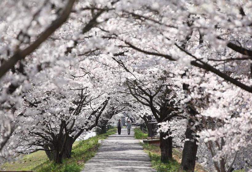 ريوكان Ten Ten Temari