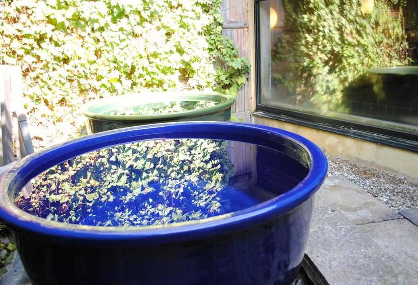 ريوكان Ten Ten Temari