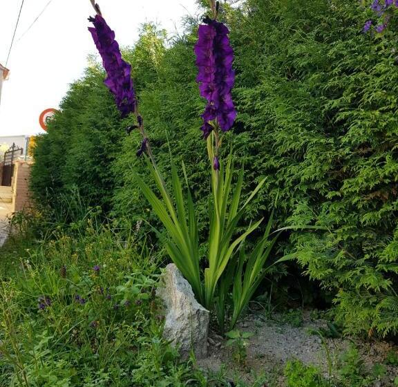 הוסטל O Refuxio De La Jerezana