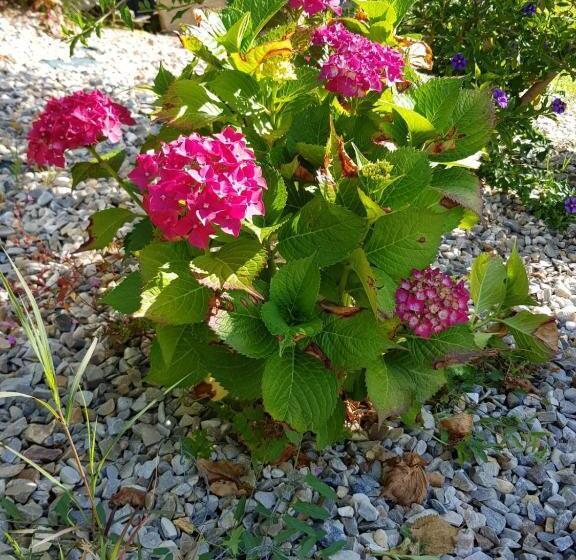 הוסטל O Refuxio De La Jerezana