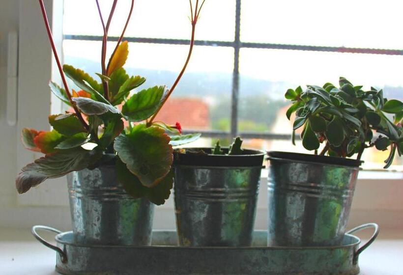 הוסטל O Refuxio De La Jerezana