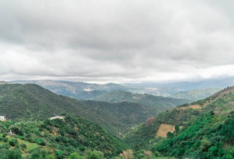 בית מלון כפרי Almeji