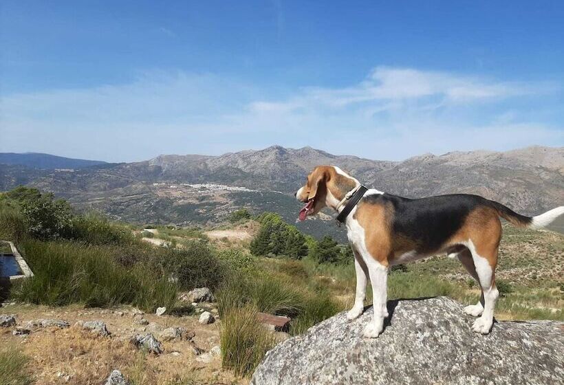 בית מלון כפרי Almeji