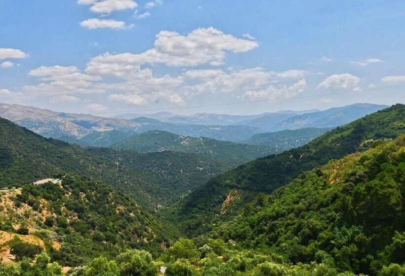 בית מלון כפרי Almeji