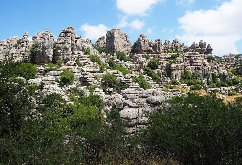 ホテル Arte De Cozina