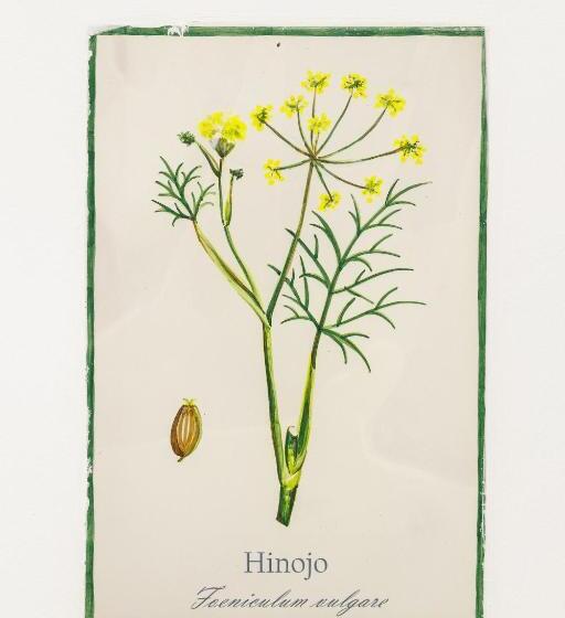 ホテル Arte De Cozina