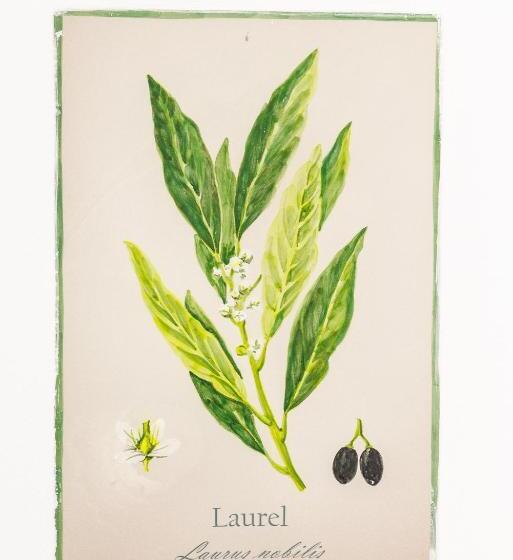 ホテル Arte De Cozina