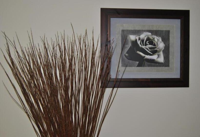 Отель Hostal Rural Amador