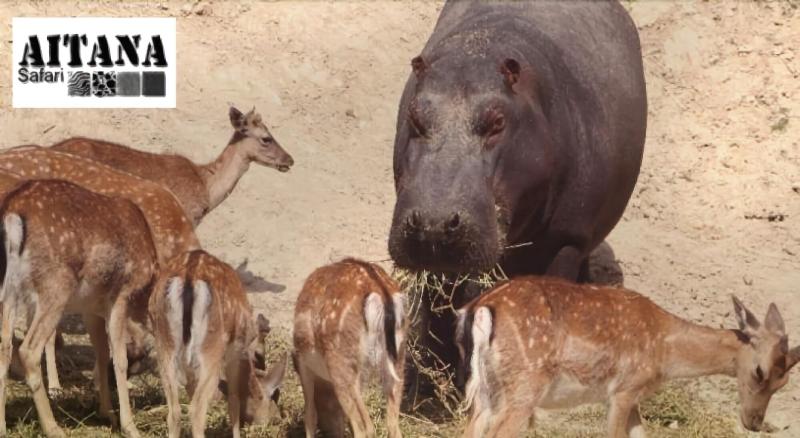בית מלון כפרי La Escondida