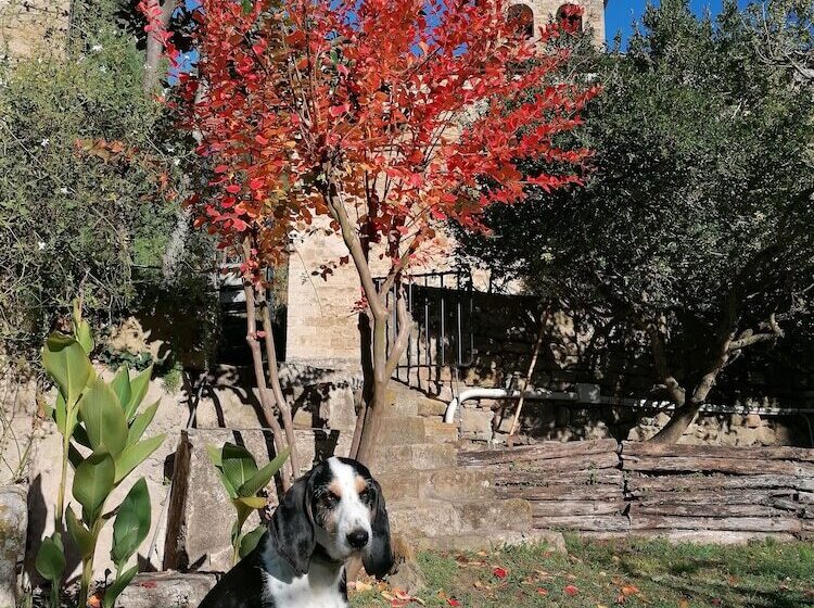 酒店 La Sala De Camós