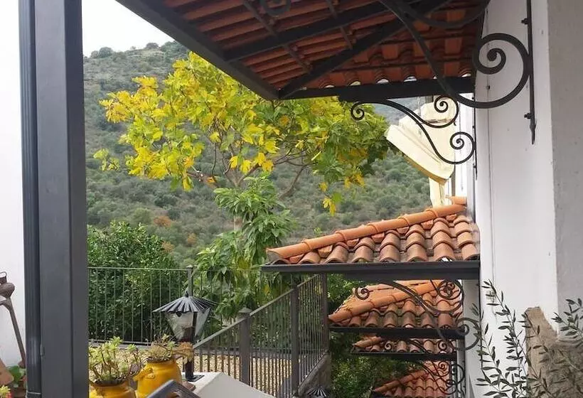 ホテル Posada Real Quinta De La Concepción