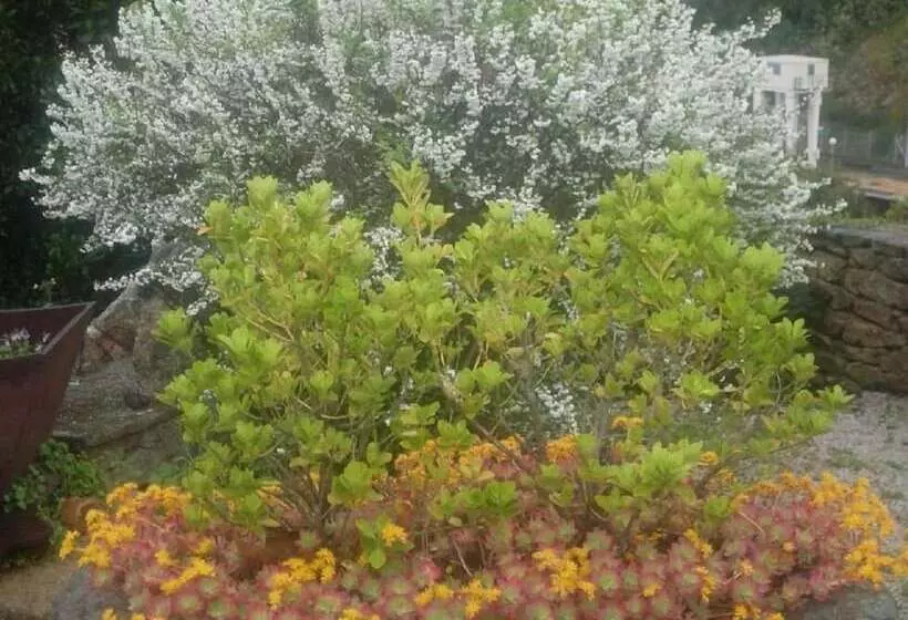 ホテル Posada Real Quinta De La Concepción