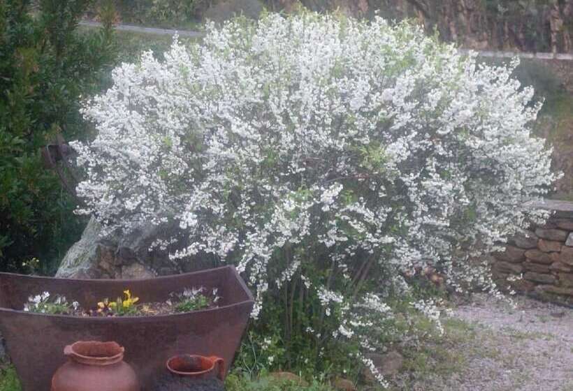 בית מלון כפרי Posada Real Quinta De La Concepción