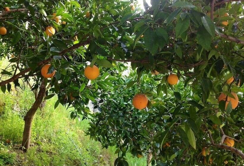 בית מלון כפרי Posada Real Quinta De La Concepción