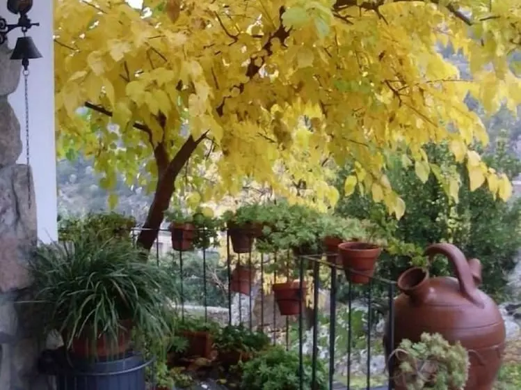 ホテル Posada Real Quinta De La Concepción