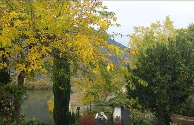 ホテル Posada Real Quinta De La Concepción