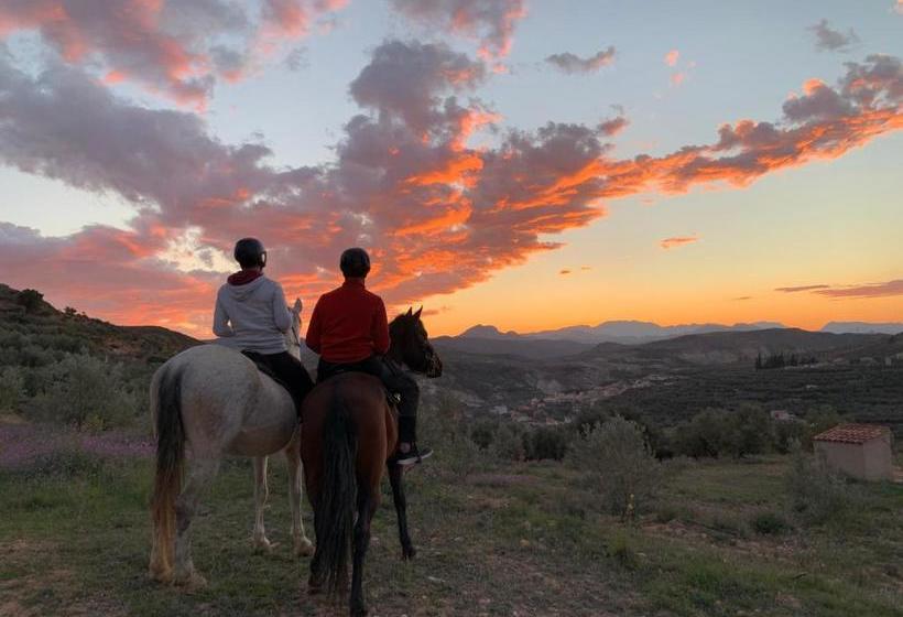 酒店 Rural Dehesa Del Rincon