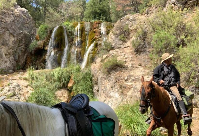 酒店 Rural Dehesa Del Rincon