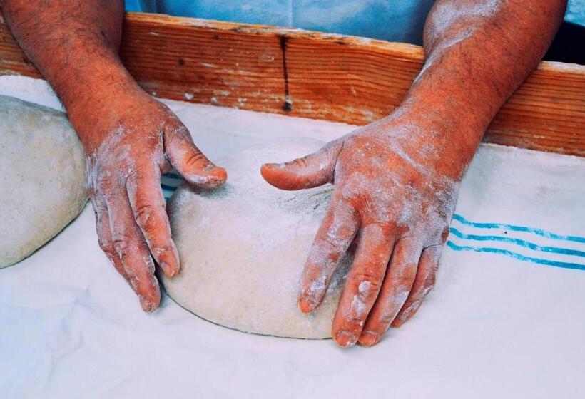 בית מלון כפרי Rural Mañe