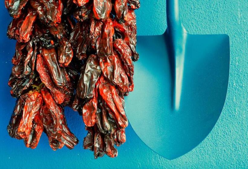 בית מלון כפרי Rural Mañe