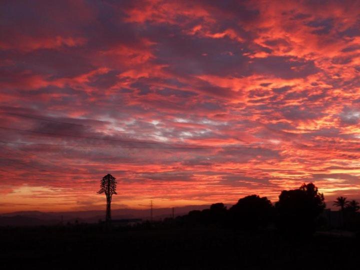 فندق Rural Miguel Rosi