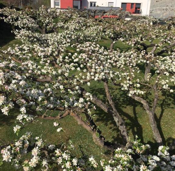 בית מלון כפרי Villa Iacca