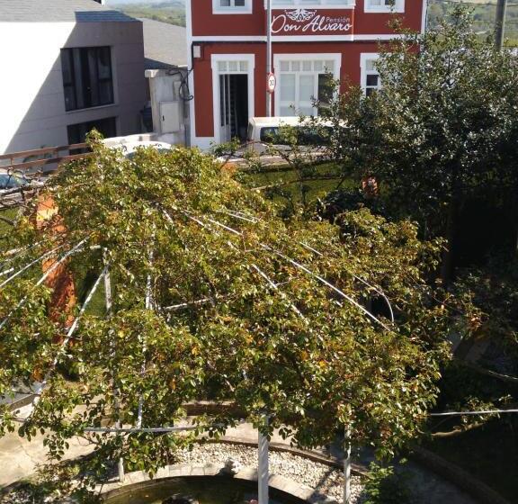 Pension Albergue Don Alvaro