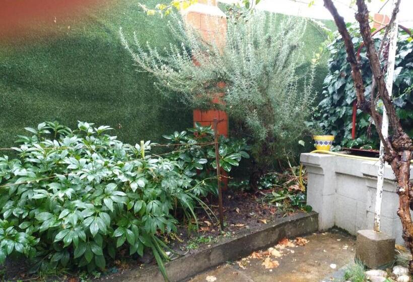 Pension Albergue Don Alvaro