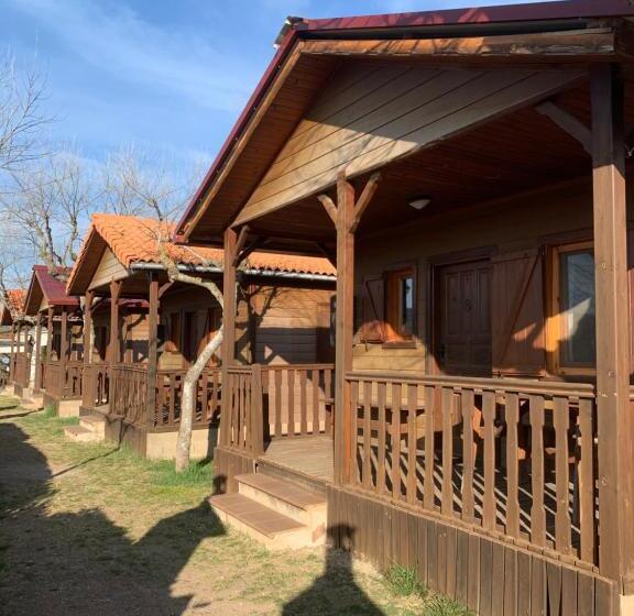 住所 Camping Gironella