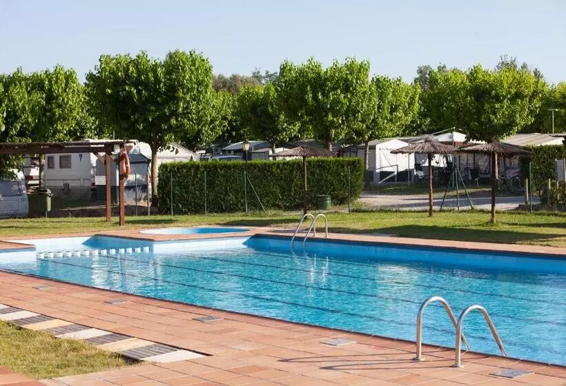 اقامتگاه Camping Gironella