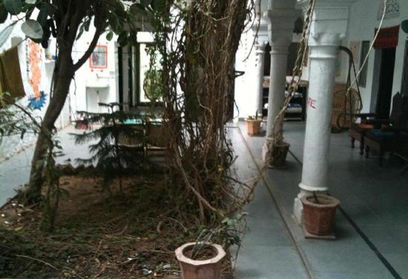 Bed and Breakfast Diamond